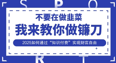 韭菜生涯终结者，我来教你做镰刀，2025如何通过“知识付费”实现财F自由【揭秘】-19点研学社